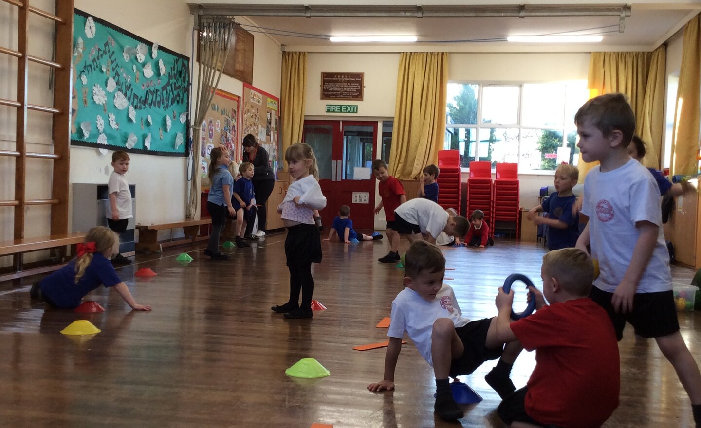 Image of Multi Skills 